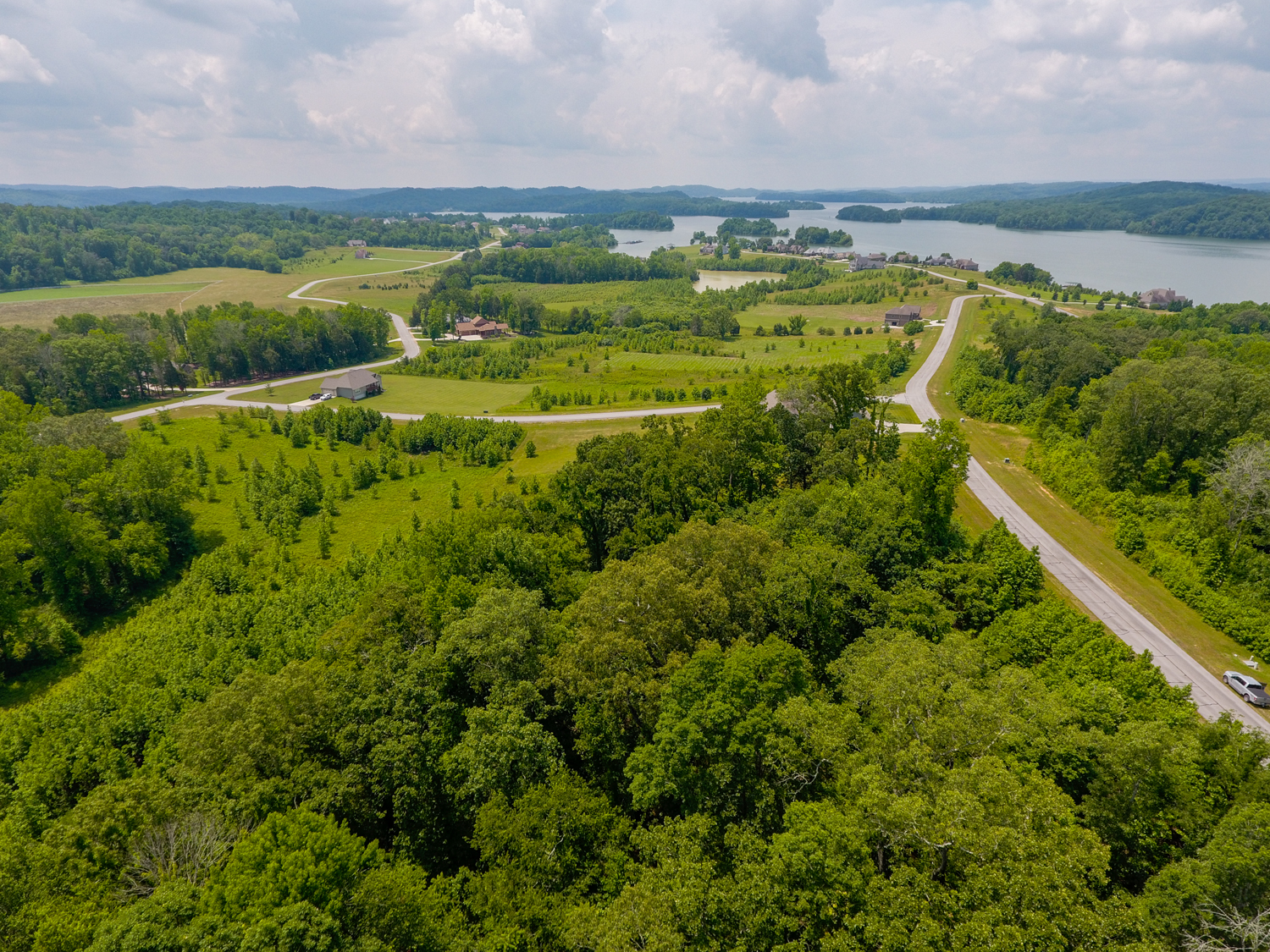 This image is by Powell Auction & Realty.