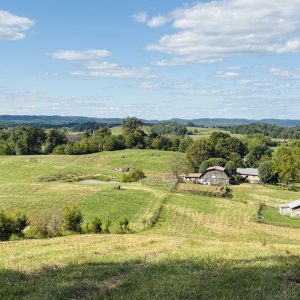 This image is by Powell Auction & Realty.