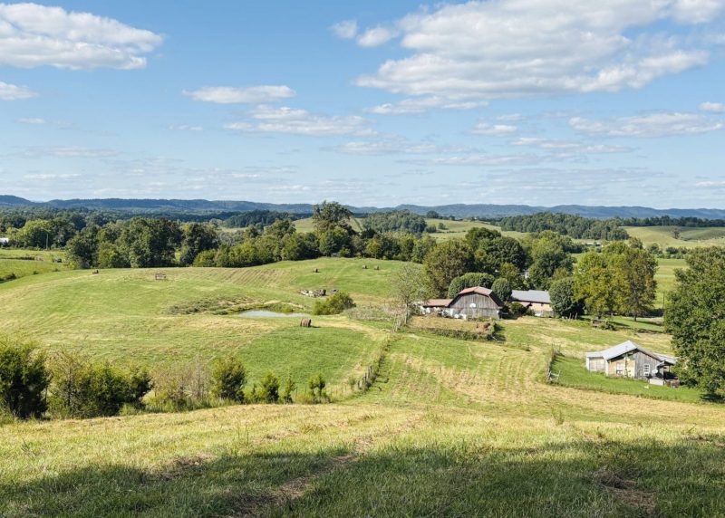 This image is by Powell Auction & Realty.