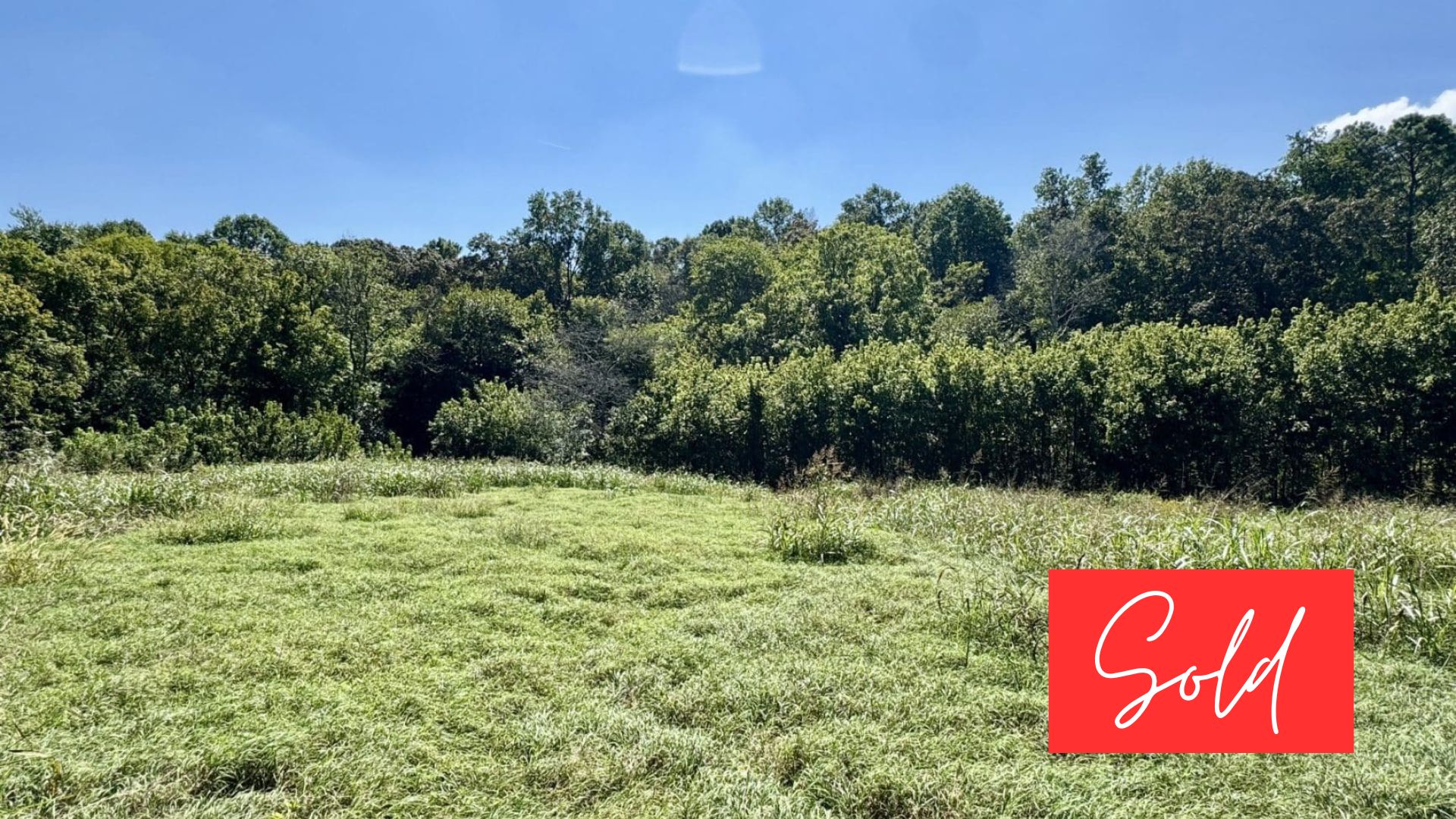 This image is by Powell Auction & Realty.