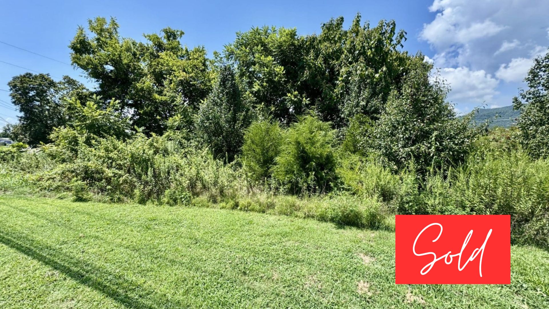 This image is by Powell Auction & Realty.