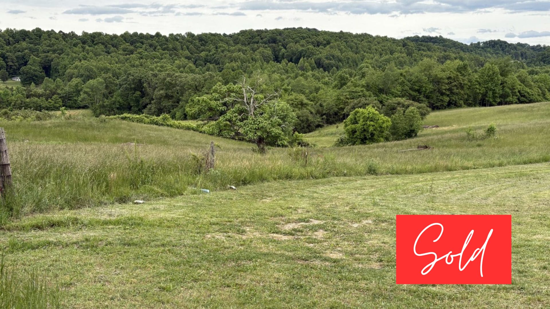 This image is by Powell Auction & Realty.