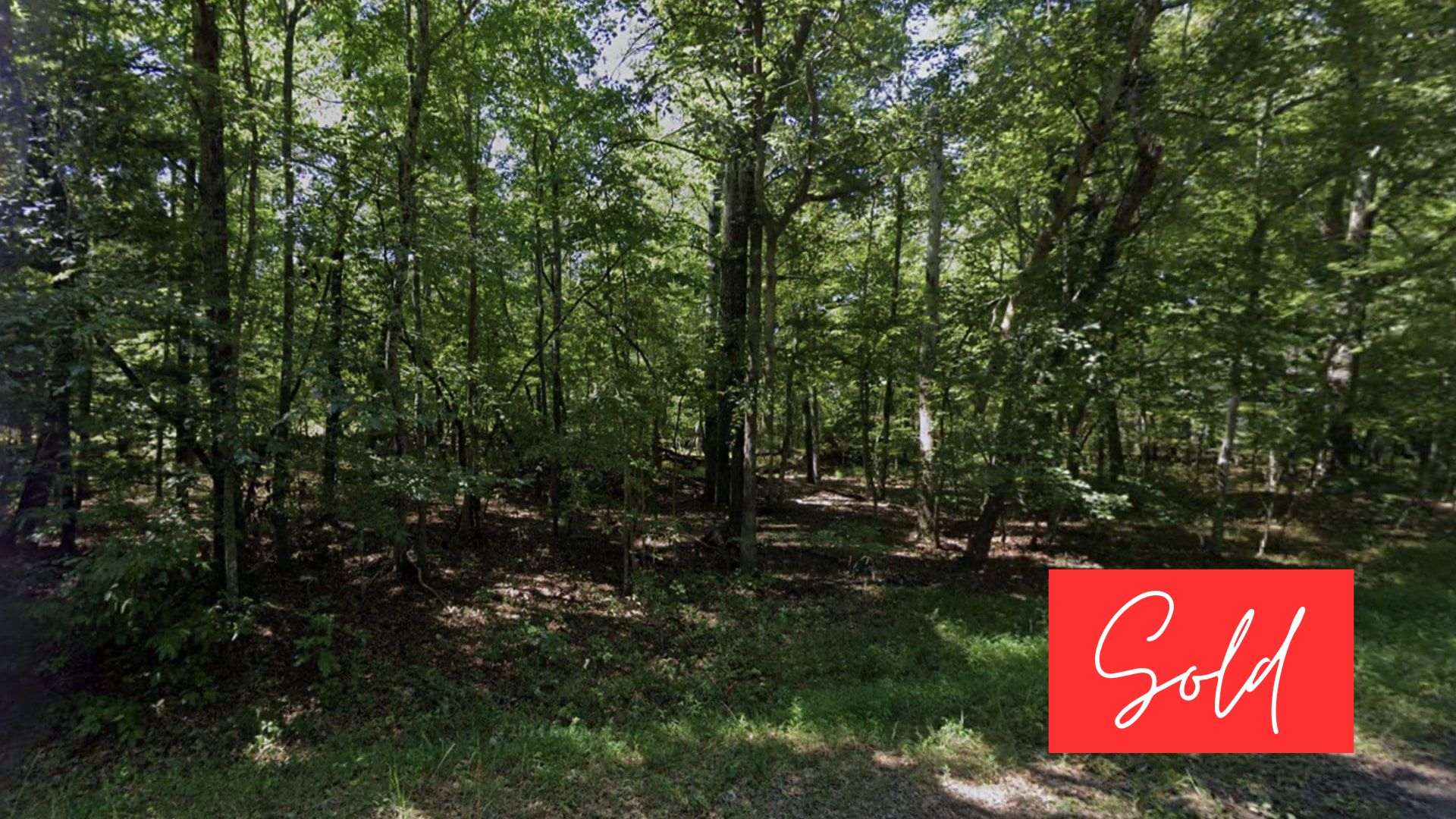 This image is by Powell Auction & Realty.