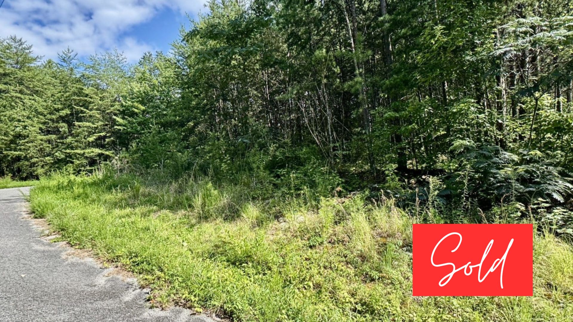 This image is by Powell Auction & Realty.