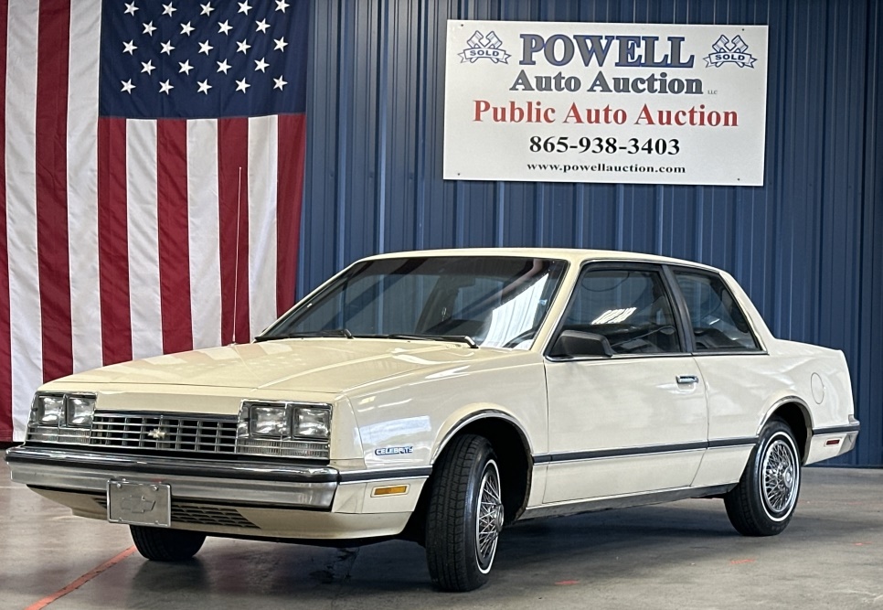 item_455401_catimage_1 Powell Auction & Realty
